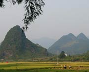 和平天气预报30天